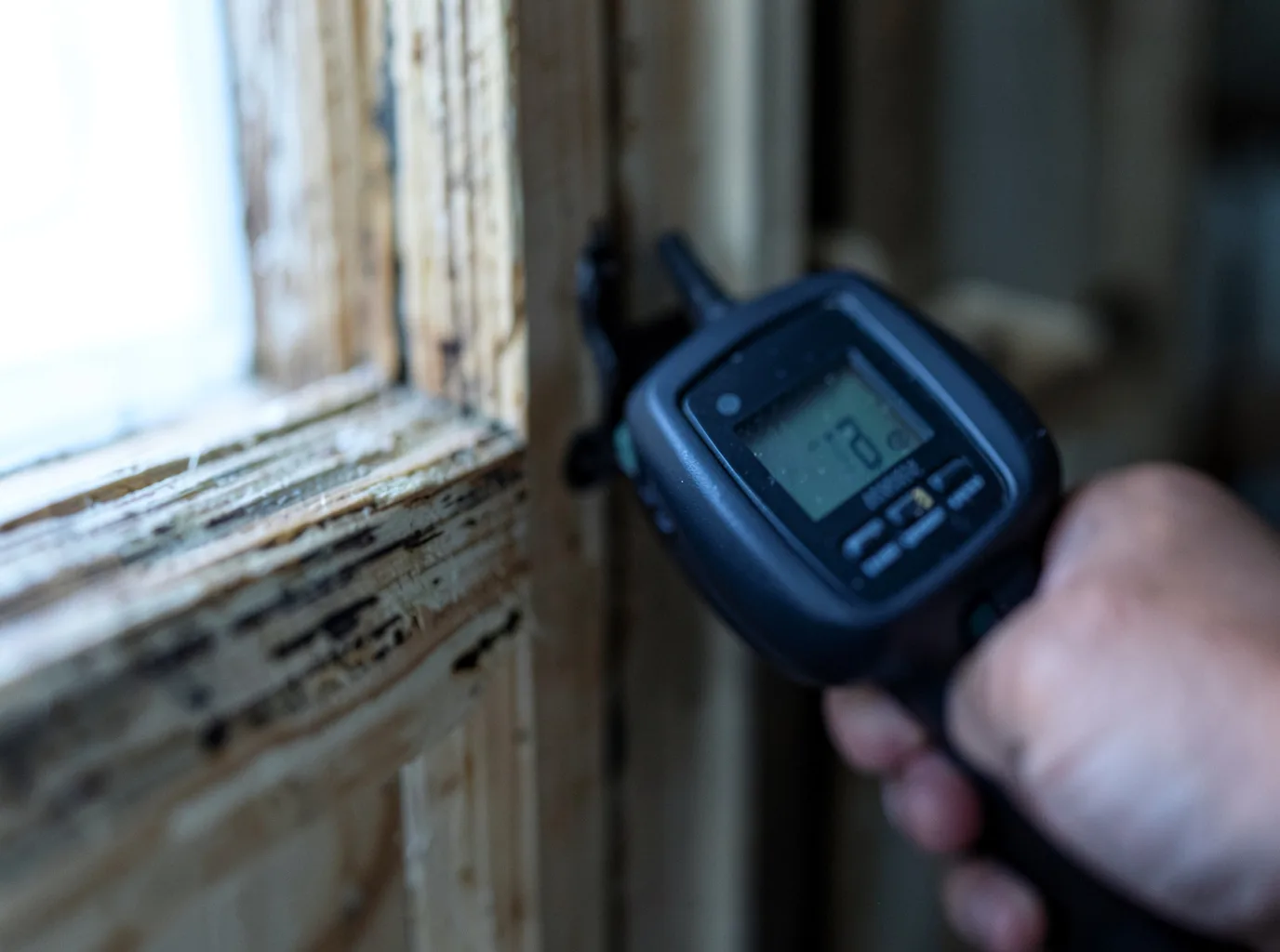 Moisture Inspection And Documentation in Fort Howard, MD